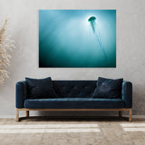 Jellyfish 11 Wall Art