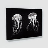 Jellyfish 15 Wall Art