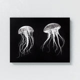 Jellyfish 15 Wall Art