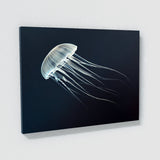 Jellyfish 18 Wall Art