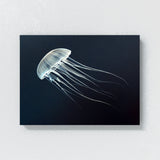 Jellyfish 18 Wall Art