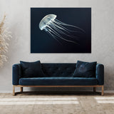 Jellyfish 18 Wall Art