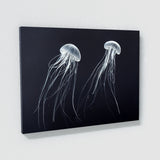 Jellyfish 19 Wall Art