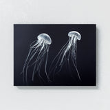 Jellyfish 19 Wall Art