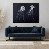 Jellyfish 19 Wall Art