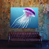 Jellyfish 7 Wall Art