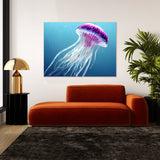 Jellyfish 7 Wall Art