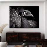 Peacock 10 Wall Art