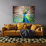 Peacock 6 Wall Art