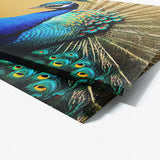 Peacock 8 Wall Art