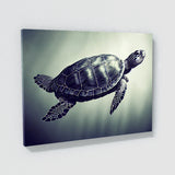 Turtle 1 Wall Art