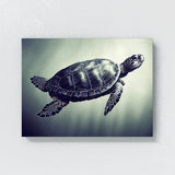 Turtle 1 Wall Art