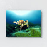 Turtle 11 Wall Art