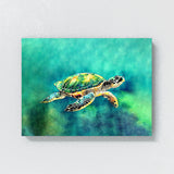 Turtle 12 Wall Art