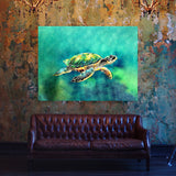 Turtle 12 Wall Art