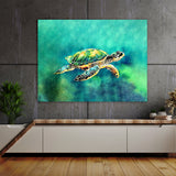 Turtle 12 Wall Art