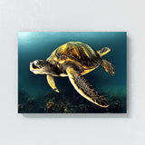 Turtle 6 Wall Art