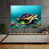 Turtle 8 Wall Art