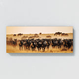 Animal African Savanna 57 Wall Art