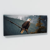 Animal Majestic Bald Photo 30 Wall Art