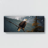 Animal Majestic Bald Photo 30 Wall Art