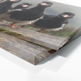 Animal Puffins Landscape 72 Wall Art