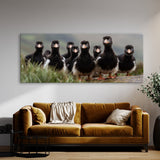 Animal Puffins Landscape 72 Wall Art