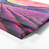 Botanical Lavender Bright 21 Wall Art