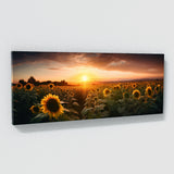 Botanical Sunflower Field 26 Wall Art