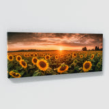 Botanical Sunflower Field 82 Wall Art