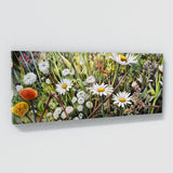 Botanical Wildflower Meadow 65 Wall Art