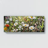 Botanical Wildflower Meadow 65 Wall Art