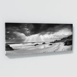 Coastal Seagulls Sky Black White 51 Wall Art