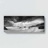 Coastal Seagulls Sky Black White 51 Wall Art