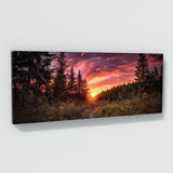 Forest Vibrant Photograph Sky 19 Wall Art