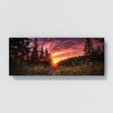 Forest Vibrant Photograph Sky 19 Wall Art