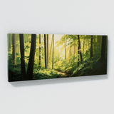 Nature Leaves Sunlight 9 Wall Art