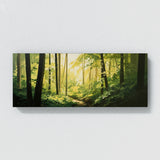 Nature Leaves Sunlight 9 Wall Art