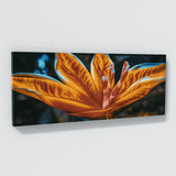 Tropical Vibrant Photo Details 42 Wall Art