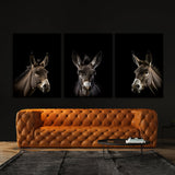 Animal Donkey Wall Art