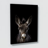 Animal Donkey Wall Art