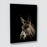 Animal Donkey Wall Art