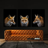 Animal Fox Wall Art