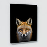 Animal Fox Wall Art