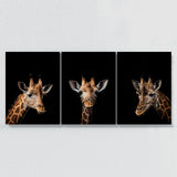 Animal Giraffe Wall Art