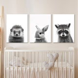 Nursery Baby Hedgehog Rabbit Raccoon 2 Wall Art