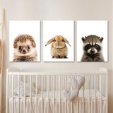 Nursery Baby Hedgehog Rabbit Raccoon 3 Wall Art