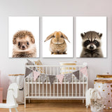 Nursery Baby Hedgehog Rabbit Raccoon 3 Wall Art