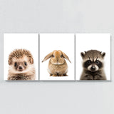 Nursery Baby Hedgehog Rabbit Raccoon 3 Wall Art