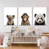 Nursery Baby Koala Monkey Panda 3 Wall Art